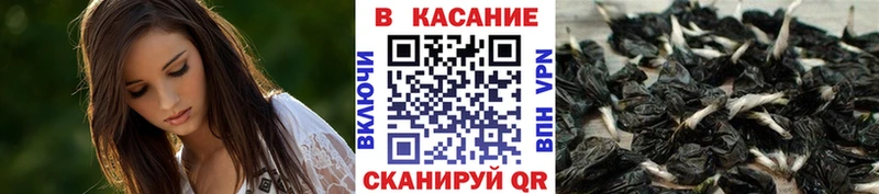 Виды наркотиков купить Заозёрный Экстази ГАШИШ Канабис OMG tor A-PVP COCAIN