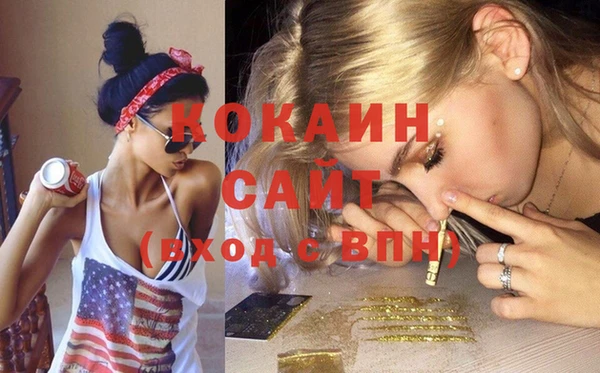 индика Нея