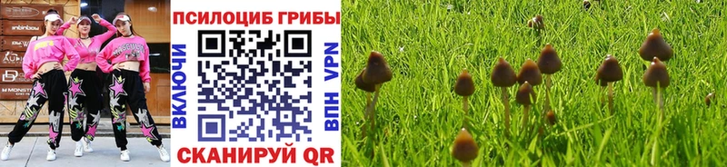 купить закладку Заозёрный Псилоцибиновые грибы Psilocybine cubensis